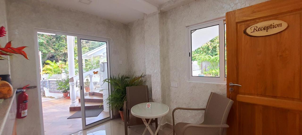 Le Chant De Merle Self -Catering Studios And Apartments Mahé Kültér fotó
