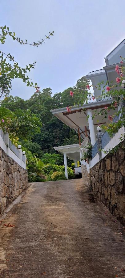 Le Chant De Merle Self -Catering Studios And Apartments Mahé Kültér fotó