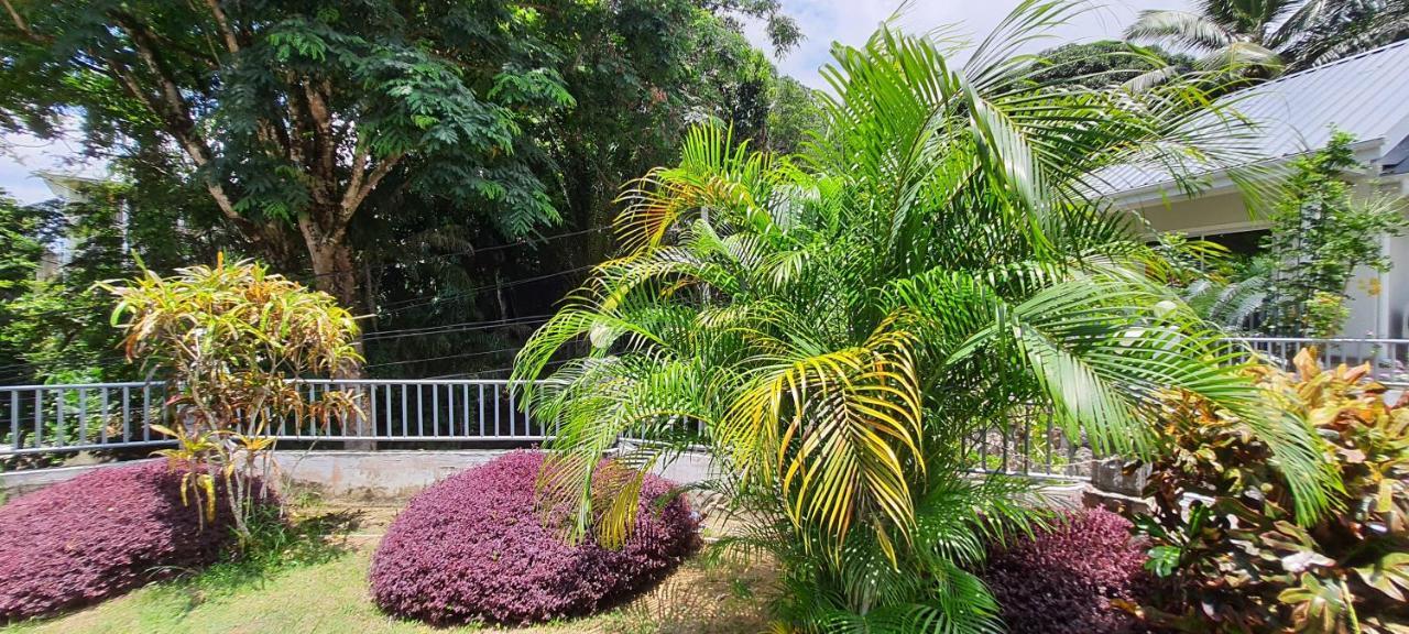 Le Chant De Merle Self -Catering Studios And Apartments Mahé Kültér fotó